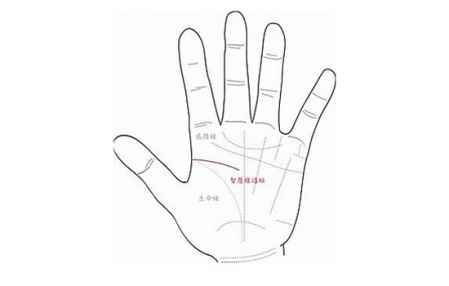 1. 痣的生物学本质