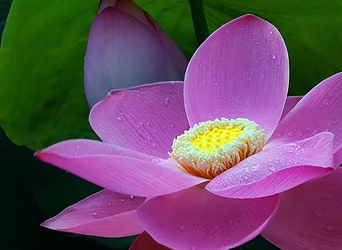 哪个星座一旦转身，就真的能相忘于江湖，从不回头不后悔，与过去断得如此干净利落？