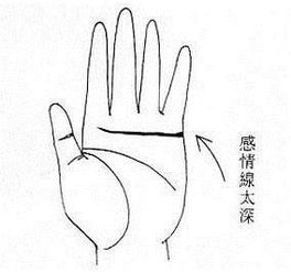 2. 情感与理智交织且不简单妥协