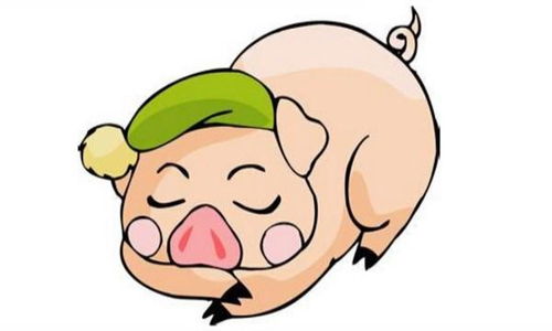 83年属猪41岁2026年运势和43岁事业运势分别如何？