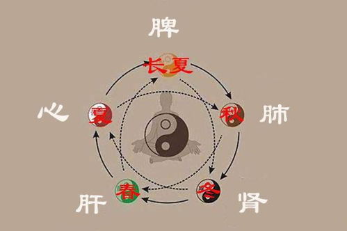 五、 时辰禁忌——午时白虎不宜关键活动之深度解析