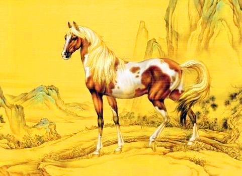 2026年78年属马人感情运势如何，2026年以后运势会有哪些变化？