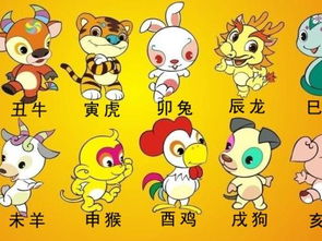 一、 理论依据：五行属相与三合、三会关系概述