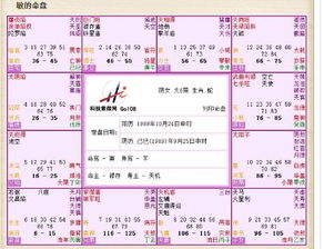 紫微命盤分析高手，能否指导我如何进行详细解读？