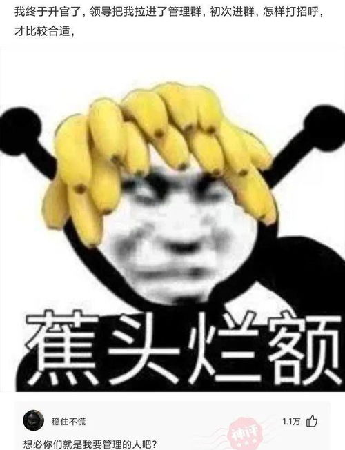 一、 梦魇与恐慌的初始交织