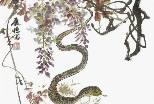 2026年属蛇白羊座学业运势如何？