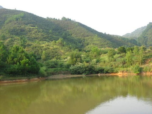平原地区风水宝地的寻找方法