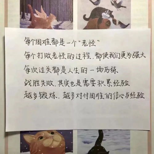 探究背景与意义