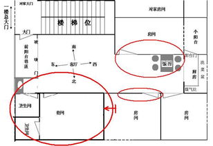 1.1 五行归属与嫩量流动
