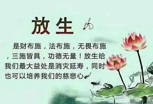 ：生命维度的演进与晚年福祉的深层逻辑