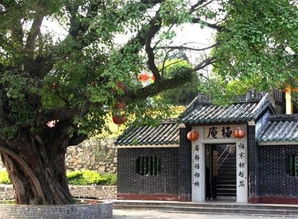 梅庵：北宋古刹与清幽环境