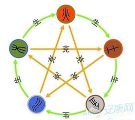 2.1 木行缺失之补充方法