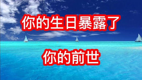 三、 综合讨论