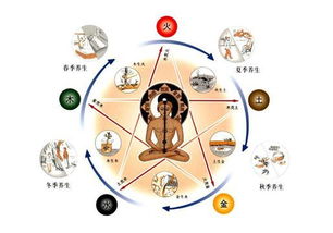 五行命理适配日期: 根据你的生日来选！（算命先生推荐！）