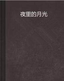 谜团重重：探索真相之路