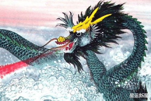 生肖龙佩戴什么吉祥物能招财，属龙的人娶属龙的人是否相配？