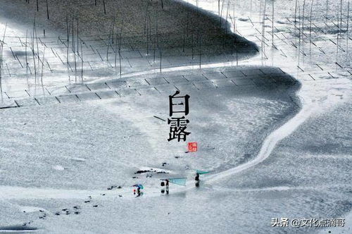 2.1 白露前——主动拓展、 人脉积累