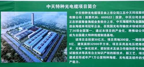 2026年1月和6月哪些黄道吉日适合破土动工？