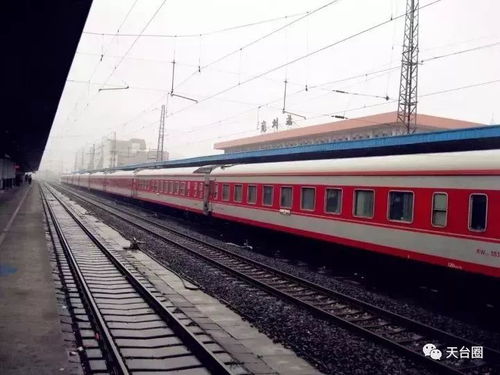 #熊孩子闹翻天#——车厢版《动物世界》现场直击