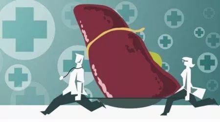 将披肝沥胆打一生肖，是哪个生肖尾巴特长？