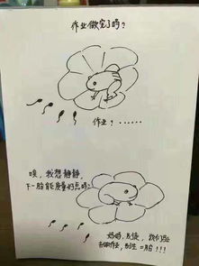 较小蝌蚪寻母之惑：阴森水底的等待与生命轮回的隐喻——基于国学思想的较深度解析