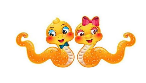 属蛇兔在2026年感情运势如何？属蛇兔人2026年全年运势详解是什么？