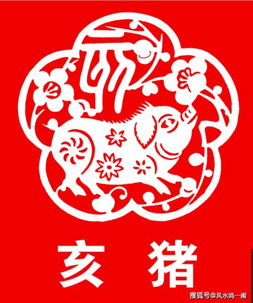 属猪人出生月份运势如何具体分析？