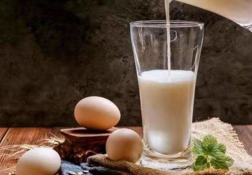 （六）含有人工添加剂与色素之垃圾食品