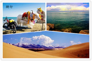 #1 门源油菜花海（花海？梗多是人海）