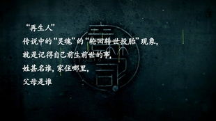 一、 研究背景与问题提出