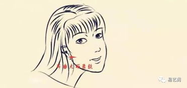 耳垂及发质评价