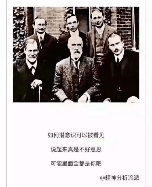 五、 理论延伸：从精神分析到社会文化批判