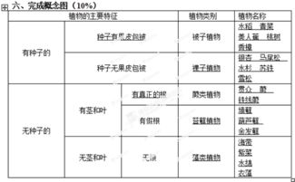 揭秘姓名中的神秘力量——五行数理搞懂析