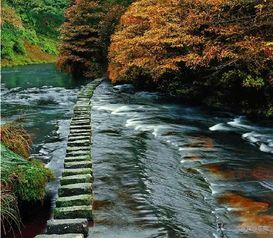 晚上住哪儿是个大问题