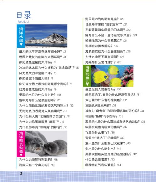 三、 关键词的应用：提升检索效率与曝光率