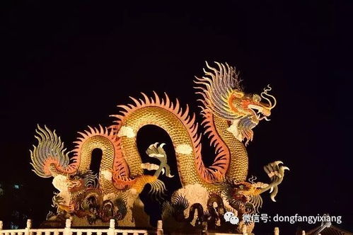 2026年属龙9月开业选择哪天最吉利？11月有哪天适合属龙开业？