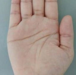 手相事业线三叉之象征——学术化阐释