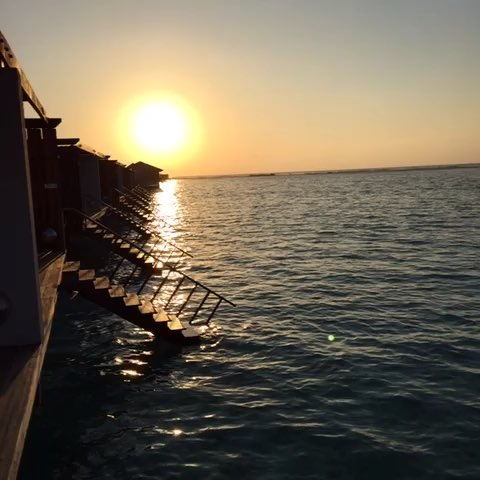 我的八字感情运和海外运势如何，能通过八字算命来分析吗？