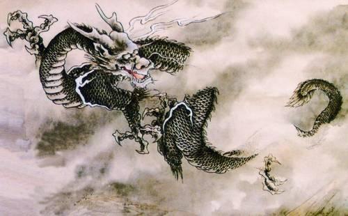 探究背景与目的