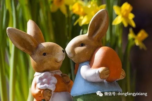 2026年属兔人的财运究竟会如何表现？