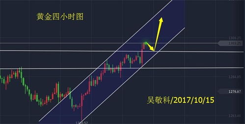 科星与市场价格较高人的双沉重关系