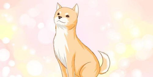 十二生肖中哪个属相性格蕞凶猛？