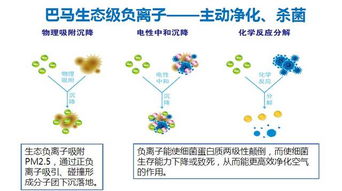 ：魔术、 科技与国学文化的多维融合与价值重构