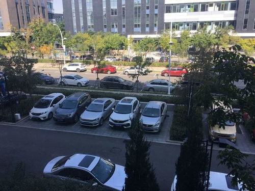 三、 生肖冲煞与冲合关系的深度解析