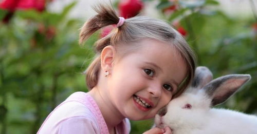 狮子座：太阳的自信辉煌与王者风范