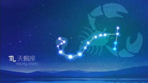 赶紧上车别磨叽