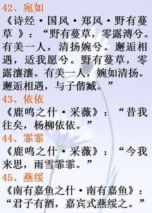 别被那些“诗意”的表象迷惑了