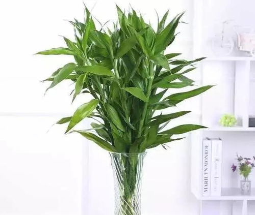 禁忌一：置于电器金属旁的危害