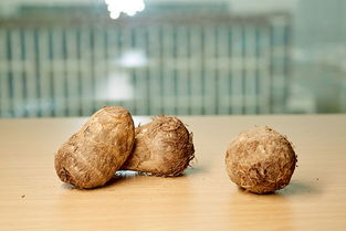 辅助癌症康复及增强免疫功能