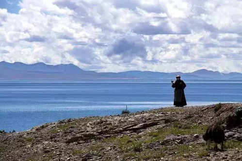 七、 文化冲击与心理压力